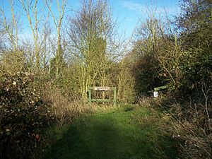 Entrance to Northward Hill Nature Reserve - geograph.org.uk - 1067797