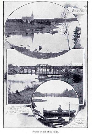 FMIB 35419 Scenes on the Mira River