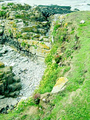 Flat Holm Geology
