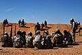 Green Berets, partner force machine gun training