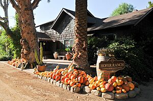 Hofer winery-3