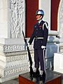 Honor Guard of ROCAF standing at National Revolutionary Martyr's Shrine 20081221