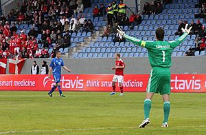 Iceland vs Denmark 4.6.2011 (5799954445)