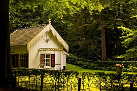 In the light of the forest (27697973021)