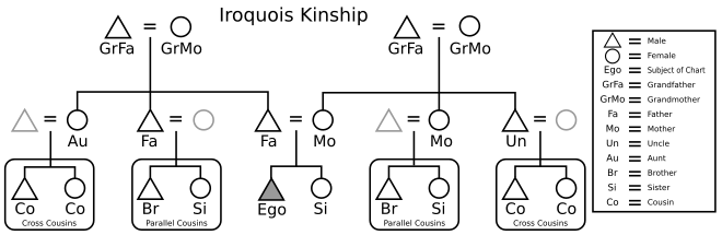 Egocentric genealogical diagram of the Iroquois kinship system.