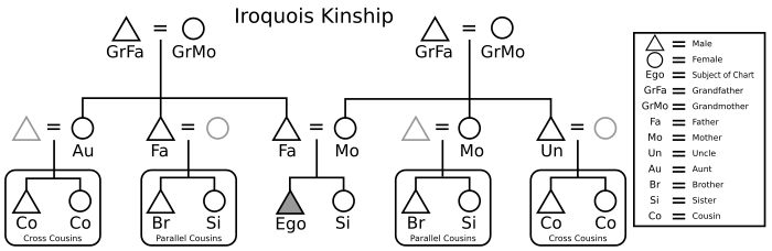 Graphic of the Iroquois kinship system