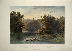 Karl Bodmer Travels in America (34)