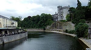 Kilkenny Castle from river