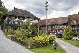 Amlikon village