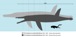 Kronosaurus Scale V2