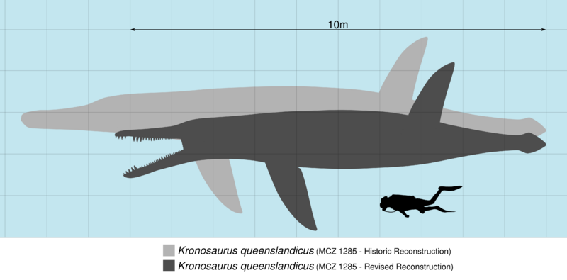 Kronosaurus Scale V2