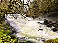 Lake Creek Falls (25530156932)