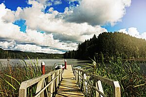 Lake Tahkenitch Boat Dock