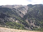 Partially forested mountains in Lincoln National Forest.