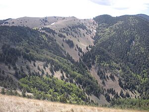 Lincoln National Forest along Crest Trail-Terrain