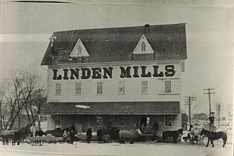 Linden Mill.jpg