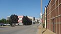 Locust west of Leonard in St Louis