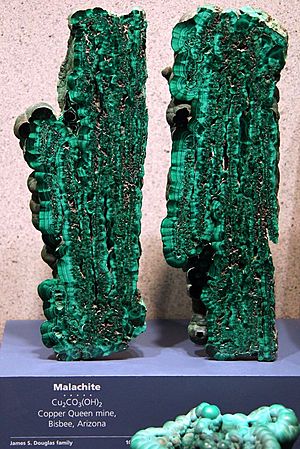 Malachite from Bisbee Arizona (6664471391)