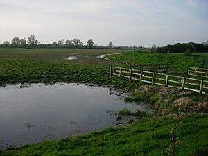 Mare Fen, drying out - geograph.org.uk - 783079