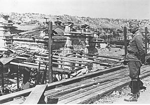Marszałek Erich von Manstein w ruinach Sewastopolu (2-679)