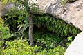 Meridian state park grotto