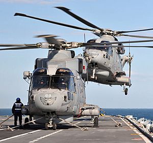 Merlin Helicopters with 814 Naval Air Squadron on HMS Illustrious MOD 45153852