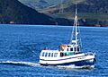 Monarch Wildlife Cruises Otago Harbour