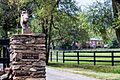 MyrtleHallFarm LoudounCounty