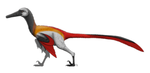 Neuquenraptor argentinus by PaleoGeek.png