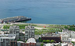 Olympic Sculpture Park from Space Needle - Seattle.JPG