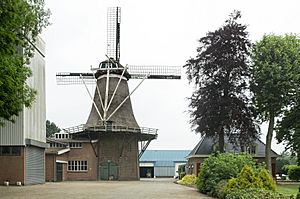 The windmill in Oldebroek