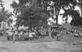 Picnics. St. Helen's Island BAnQ P48S1P03043
