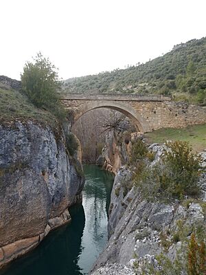 Puente Tagüenza (vertical) de Huertapelayo.jpg