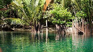Puerto Princesa Subterranean River National park 02