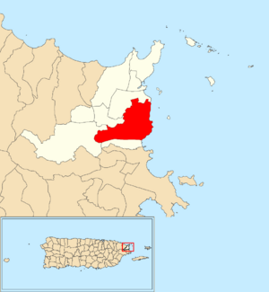 Location of Quebrada Vueltas within the municipality of Fajardo shown in red