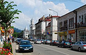 RO SV Vatra Dornei street 1