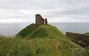 Remains of Forse Castle