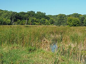 Reservoir Woods Park