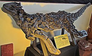 Scelidosaurus harrisonii (1).jpg