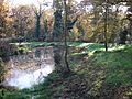 Sheep Water Pond, Hainault Forest - geograph.org.uk - 280577