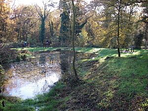 Sheep Water Pond, Hainault Forest - geograph.org.uk - 280577