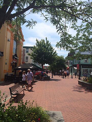 Shops at Downtown Cape May, 2017