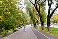 Sidewalk and bike lane (Almaty)
