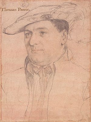 Sir Thomas Parry by Hans Holbein the Younger