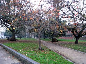 St Johns Memorial Garden; Croydon