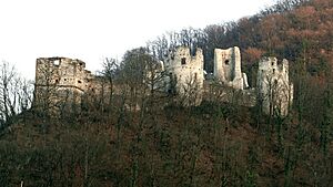 Stari grad Samobor VII. 2014