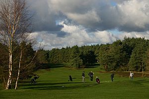 Thetford Golf Course - geograph.org.uk - 319924