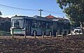 Transperth route 950 bus on Beaufort Street, Bedford, Western Australia