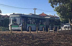Transperth route 950 bus on Beaufort Street, Bedford, Western Australia