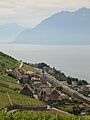 Villette (Lavaux), Suisse et lac Léman